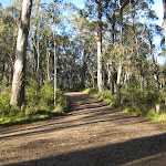 road around Manning River camping area