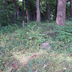 Area where Thomas Gleaves is buried!