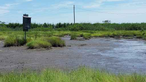 Nature Preserve «Seatuck Environmental Association», reviews and photos, 550 S Bay Ave, Islip, NY 11751, USA