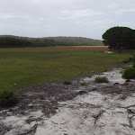 Bondi Lake (107194)