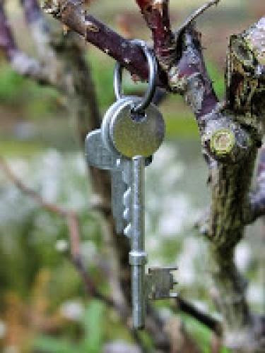 The Witch Niece And The Magical Key Tree