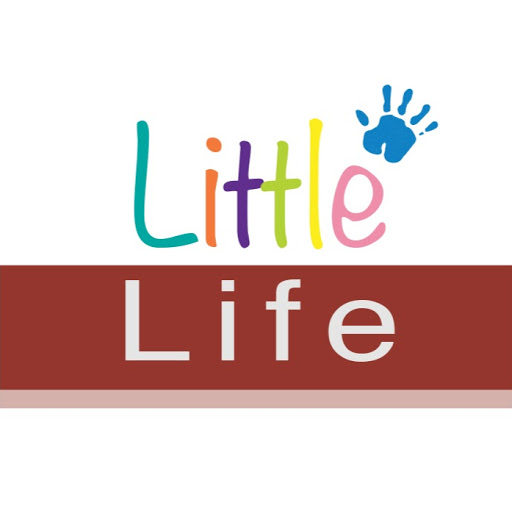 Little Life logo