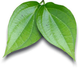 khasiat daun sirih