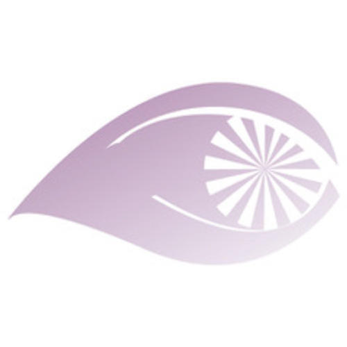 Van Essen Optiek logo