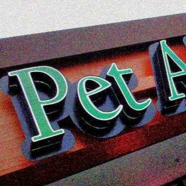 Pet Adventure logo