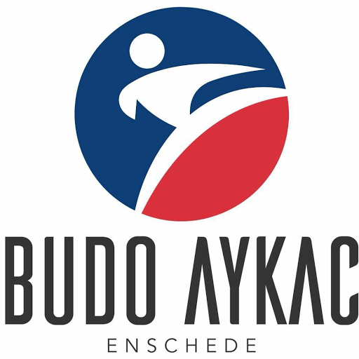 Budo Aykac logo