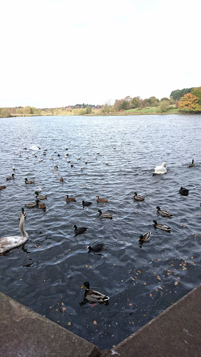 Sutton Park
