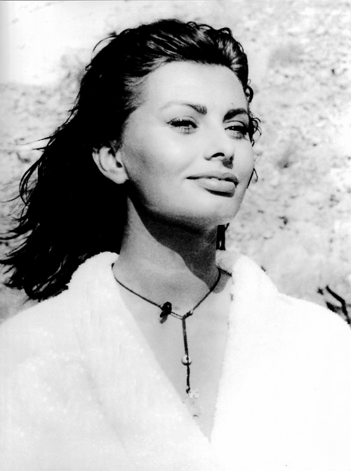 Sophia Loren Sophia Loren
