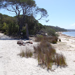 Intersection of Hobart Beach and track to camping area (105079)