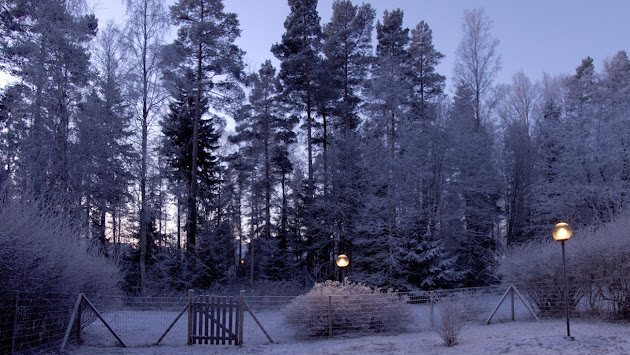 Cover photo