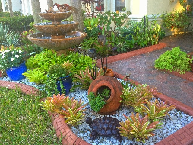 Southeast Florida Garden Evolvement: Hello