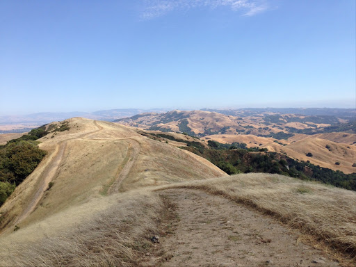 Las Trampas Regional Wilderness