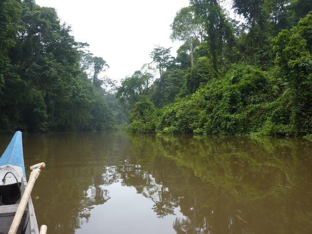 Blog de voyage-en-famille : Voyages en famille, Taman Negara, Lata Berkoh