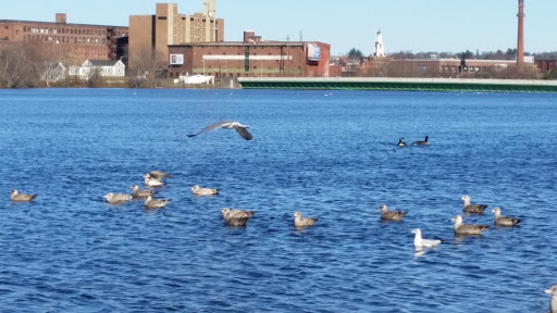 State Park «Riverfront State Park», reviews and photos, Everett St & Eaton St, Lawrence, MA 01843, USA