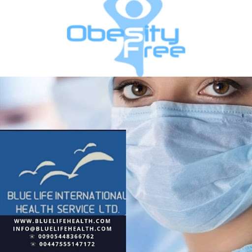 Blue life International Health Service logo