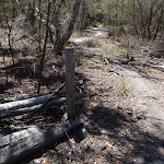 Old farm fence post (104458)