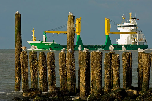 Strandpaviljoen Scheldezicht