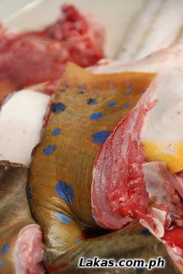 Pagi (Sting Ray) Meat Pagi (Sting Ray) Meat