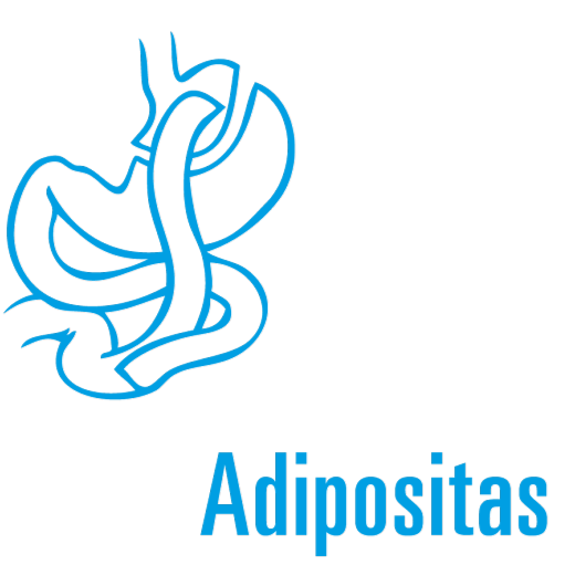 Inselspital Adipositaszentrum-Bern logo