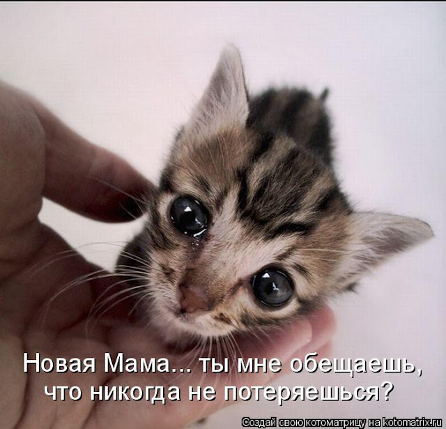 Довести до греха не обещаю, но провожу Довести до греха не обещаю, но провожу