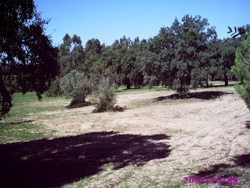 Imagen 13 de Villanueva de los Castillejos