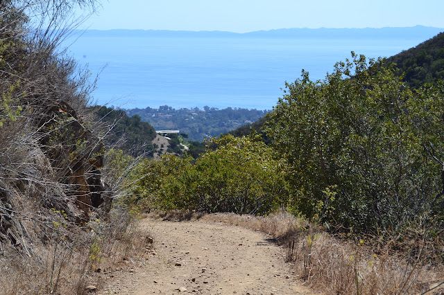 looking down the canyon