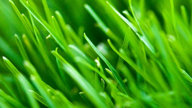 Cover photo