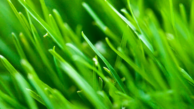 Cover photo