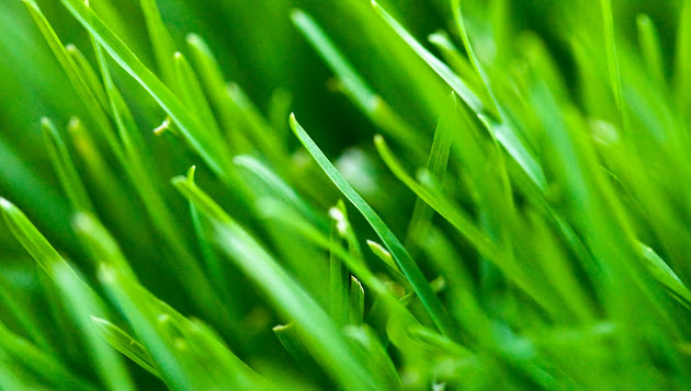 Cover photo
