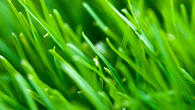 Cover photo