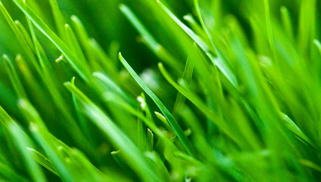 Cover photo