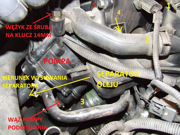 [MK1] TDDI vacuum pompa uszczelnienie Forum Focus Klub