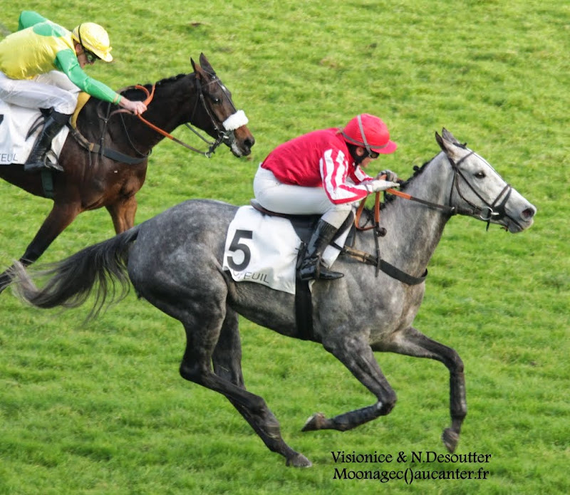Photos Auteuil 23-11-2014  - Page 2 IMG_6258