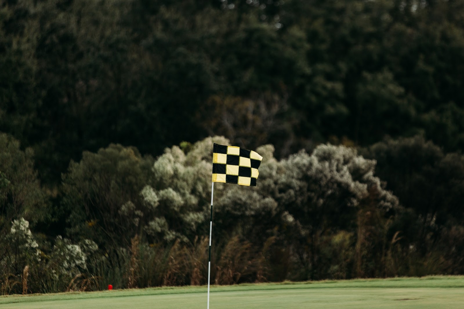 golf flag and hole