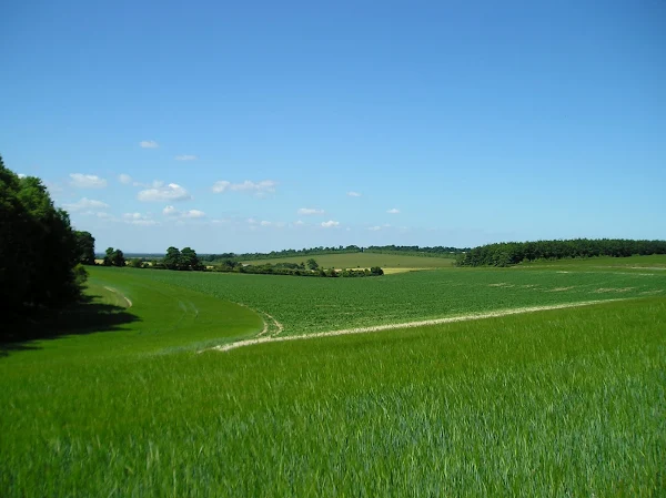 English countryside near Woodditton