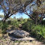 Track at the north end of Jibbon Beach (98849)