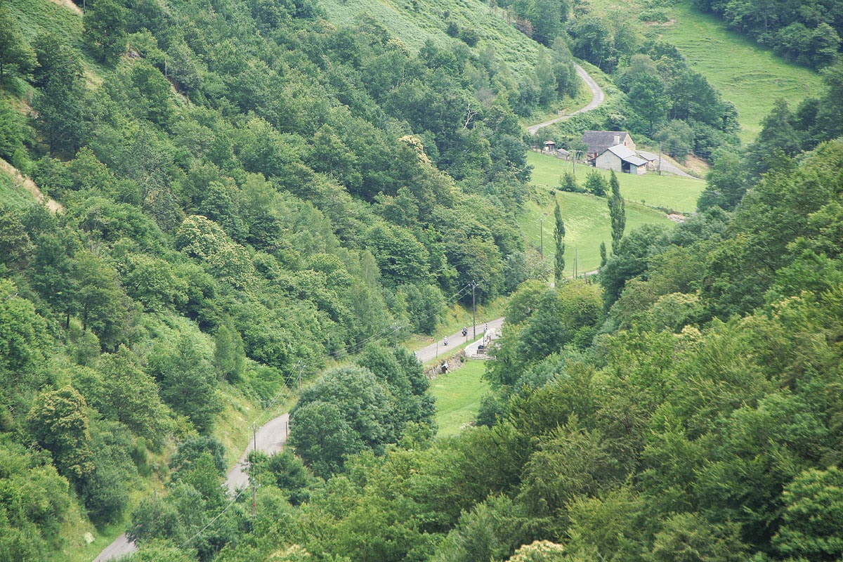 IMG_4634.JPG