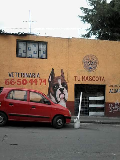 Veterinaria Tu Mascota, Veterinaria Tu Mascota, Av 29 de Octubre 3322, Lomas de la Era, 01860 Álvaro Obregón, CDMX, México, Veterinario | Ciudad de México