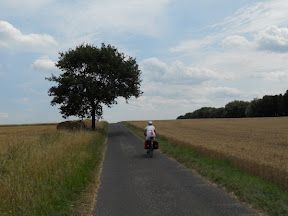 Heuvelend graanlandschap (tegenwind niet zichtbaar)