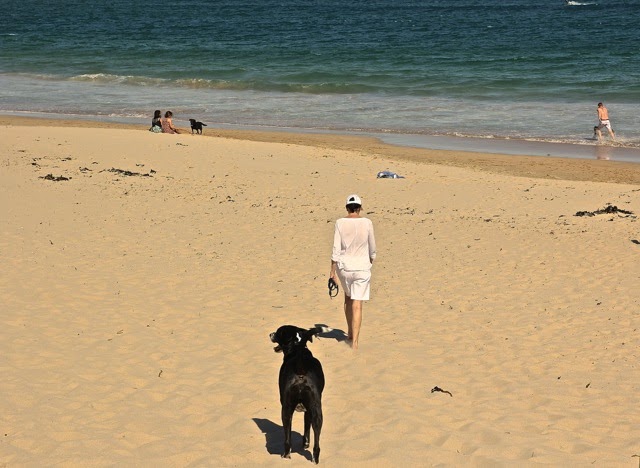 Sydney's Dog Beach