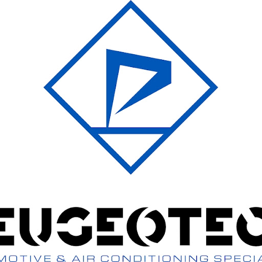 PEUGEOTECH - Peugeot, Citroen, Renault, Fiat & MINI Independent Automotive Specialists logo