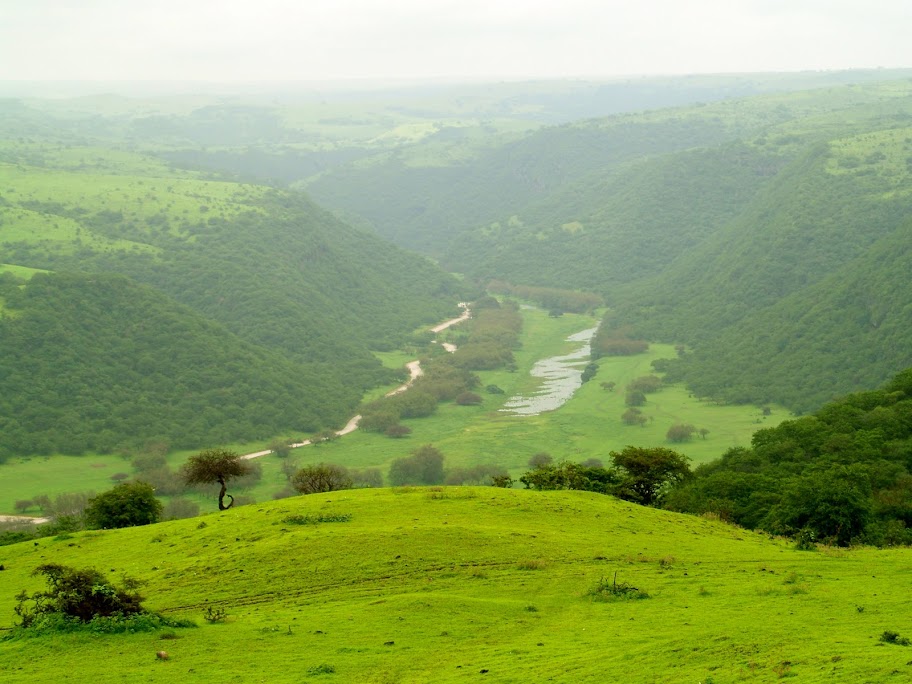 Salalah View