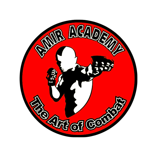 Amir Academy of Martial Arts logo