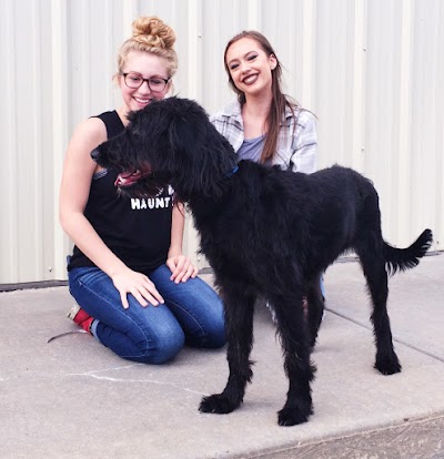 Photos of Animal Hospital at Auburn Hills