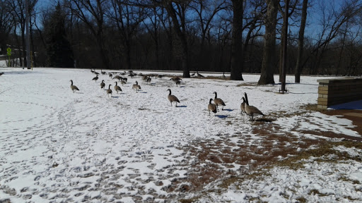 Park «Tony Schmidt Regional Park», reviews and photos, 3500 Lake Johanna Blvd, Arden Hills, MN 55112, USA