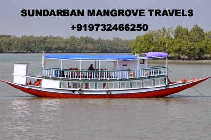 Sundarban Mangrove Travels, No. 1 Dighirpar West, Canning Town, C/o- Bishnu Pada Ghosh (Near Sitala Mandir), Canning Town, West Bengal 743329, India, Tour_Agency, state WB