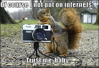 عکس هایی خنده دار روز2 Funny-pictures-creepy-squirrel-camera-park
