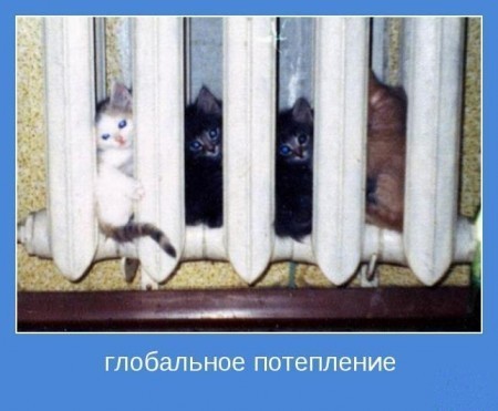 Ни дня без улыбки. Нам без дураков нельзя... Ни дня без улыбки. Нам без дураков нельзя...