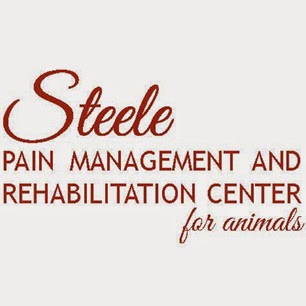 Steele Pain Management & Rehabilitation Center logo