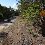 Gnomes Crossing on The Oaks Fire Trail (74445)